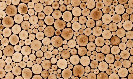 Строительство и материалы из дерева