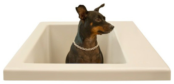 Дизайн интерьера ванной для животных от Modern Bathroom