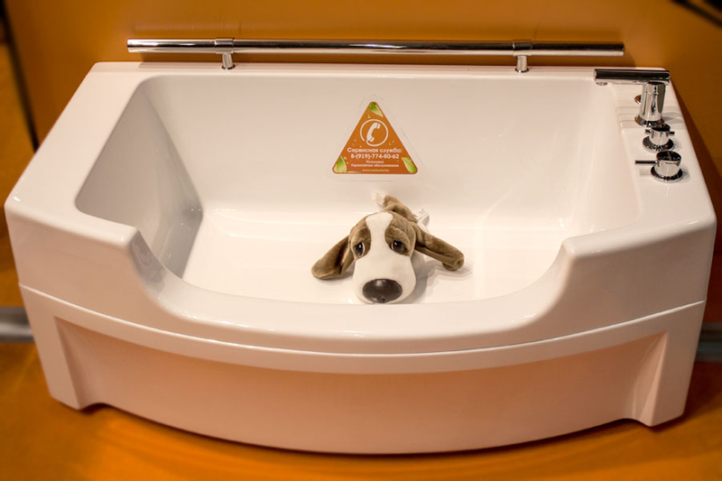 Дизайн интерьера ванной для животных