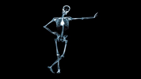 Анатомия скелета
